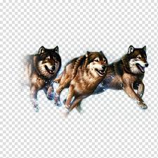 Please wait while your url is generating. Three Running Wolves Illustration Gray Wolf Advertising Wolf Free Transparent Background Png Clipart Hiclipart