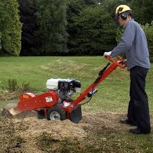 Get some heavy equipment to remove the stumps and get them out of the way. Tree Stump Grinder13 Hp