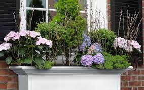 Height, grey stucco, 2 pack. 5 Window Box Ideas To Make Your Home Bloom The Home Depot