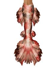Betta galaxy koi is based on koi (japan) and betta marble. Koi Betta Mermaid Tail Shello Mermaid