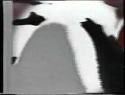 Jo è sposata con gianni muciaccia, suo storico compagno fin dagli anni ottanta. Squillo Da Bere