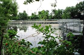 San marcos springs has been in business providing a safe and comfortable place to stay in our beautiful town for a day. San Marcos Springs Wikipedia