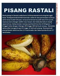 Pengeluaran sgp berdasar situs www.singaporepools.com.sg yang selalu kami update mulai tahun. Yellowbanana Posts Facebook