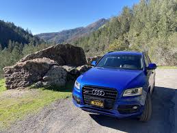 Image result for Sepang Blue 2017 A1