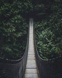 جسر النسيان كندا earth pictures lynn canyon suspension bridge lynn canyon