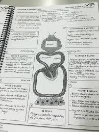 Get detailed summary of the chapters from biology form five 5 textbooks. Spm A Notes Biology Ms E T Form 4 Kssm Buukbook