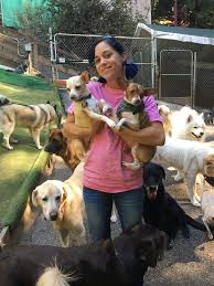 764 likes · 4 talking about this · 238 were here. Happy Tails Pet Sitting Day Care Boarding Gift Cards And Gift Certificates Felton Ca Giftrocket