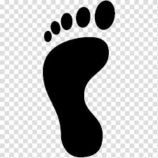 Footprints Clipart Transparent Background Footprints Transparent Background Transparent Free For Download On Webstockreview 2021 Large collections of hd transparent feet png images for free download. footprints clipart transparent