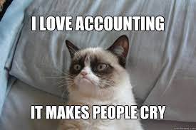25 Accounting Memes That Ll Give You A Good Laugh Ultima Status