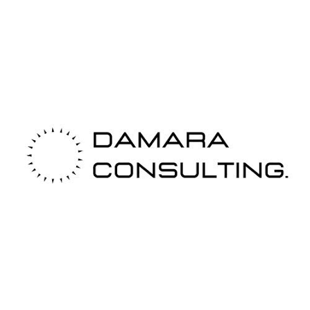 Logo Damara Consulting