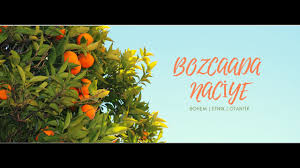 Geleneksel yada folklorik, gerçek olan, gerçeğe dayanan, orijinal, mevsuk. Otantik Ne Demek Otantik Nedir Naciye Butik Bozcaada