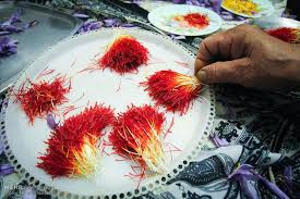 Saffron Farm In Iran Growing Saffron Saffron Spice Saffron