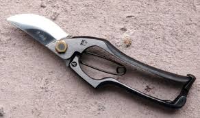 Maybe you would like to learn more about one of these? 13 Best Japanese Gardening Tools For Your Garden List Review