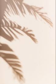 Billionladies Via Pinterest In 2020 Beige Aesthetic Aesthetic Wallpapers Aesthetic Backgrounds