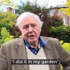 @JulieWilliamsBC's video Tweet