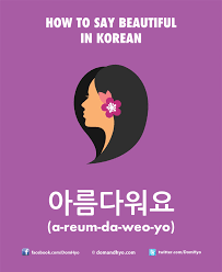 This study aimed to develop an automated computer scoring system (acss) incorporating a korean spell checker to assess students' . How To Say Beautiful In Korean Learn Korean With Fun Colorful Infographics