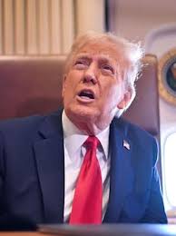 Taranaki Area Floral Art Designer of the Year event a blooming success