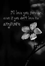 She Dont Love Me Quotes Quotesgram