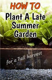 By planting in late july or august, you extend the growing. Planting A Late Summer Garden For A Great Fall Crop Fall Garden Vegetables Summer Vegetables Garden Fall Vegetables