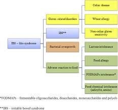 Clinical Presentation Of Irritable Bowel Syndrome Ibs Download Scientific Diagram