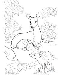 Awesome Image Of Hunting Coloring Pages Albanysinsanity Com Deer Coloring Pages Animal Coloring Books Animal Coloring Pages