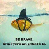 Enjoy reading and share 2 famous quotes about fighter fish with everyone. 29 Fish Quotes Ideas
