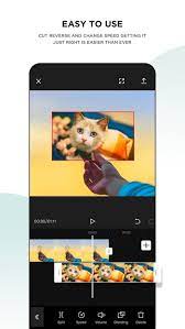 Cut, reverse and change speed: Capcut Mod Apk Pro 4 0 0 No Watermark Unlocked Download 2021