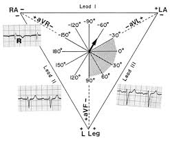 ecg learning center an introduction to clinical