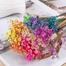 Check spelling or type a new query. 30pcs Vivid Diy Crafts Home Decor Natural Plants Mini Daisy Small Star Dried Flowers Floral Bouquets Wish