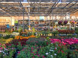 Home depot garden club benefits. 162 Home Depot Garden Center Photos Free Royalty Free Stock Photos From Dreamstime