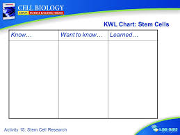 stem cell research activity 15 stem cell research limited