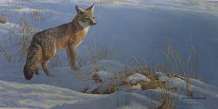 Robert bateman (born 1930) the air, the forest & the watch limited edition print. Art Country Canada Robert Bateman World S Most Complete Limited Edition Print And Giclee Canvas Art Collection