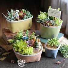 盆器 歐風 手壓紙袋彩色水泥花盆 藍色款 不含植物 飾品 succulents plant projects cactus plants