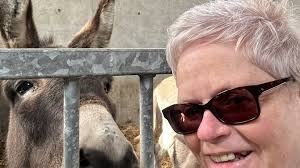 Fundraiser by Roisin Macek mullan : Winter feed appeal for Donegal Donkey  Sanctuary