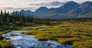 Alaska doesn't grow enough food to sustain the local population, so a lot of the food and basic items have to be shipped or. Study Best Cities To Live In Alaska