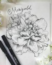 I Love Marigolds Flower Drawing Marigold Tattoo Flower Sketches