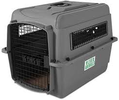 Compare services near you for the best prices get pet sitters, groomers, dog walkers and pet boarding near you get the 5 best nearby with just one request. Petmate Sky Kennel Pet Carrier 28 Inch Buy Online At Best Price In Uae Amazon Ae