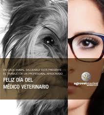 Fue el 17 de agosto 1853 cuando, por decreto del entonces presidente antonio lópez de santa anna, se fundó en méxico la escuela nacional de agricultura y veterinaria en san jacinto, que más. Saludamos A Todos Nuestros Amigos Profesionales De La Salud Animal En Su Dia Reciban Un Merecido Reconocimiento Por Su Entrega Y Dedic Vets Movie Posters Vida