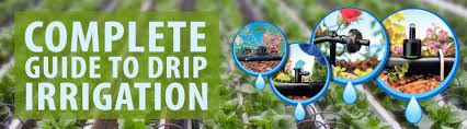 Complete Guide To Drip Irrigation Systems