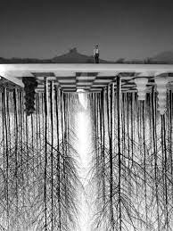 The loyalty programme is only for customer signed up to our newsletter. 72 Thomas Barbey Ideas Thomas Surrealism Photography Photomontage