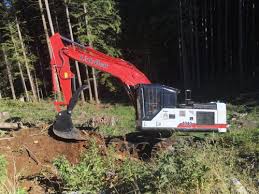 Click on the image to enlarge, and then save it to your computer by right clicking on the. Link Belt Excavators Maker Of Link Belt Excavators Forestry Demolition And Material Handling Equipment