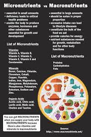 As stated above, both macronutrients and micronutrients are crucial for the body to function. Sign In Micronutrients Macronutrients Holistic Nutrition