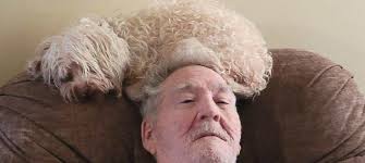 Faith Funeral Service added a new...