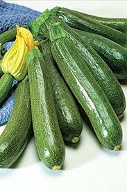 Squash Summer Fordhook Zucchini Pp Vegetable Burpee Garden Seeds Squash Seeds Zucchini Burpees