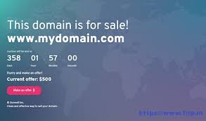 Buy domain selling wordpress themes from $39. 10 Best Domain For Sale Template 2021 To Sell Domains Frip In