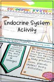 Endocrine System Activity In 2020 Endocrine System Endocrine System Activities Life Science Activities