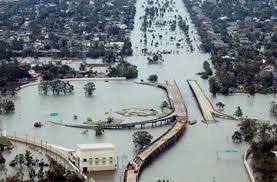 Hurrikan Katrina Das Trauma Wird Wegbetoniert Panorama Stuttgarter Zeitung