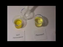 is pregnancy blood test better than