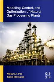 Modeling Control And Optimization Of Natural Gas Processing Plants 1st Edition