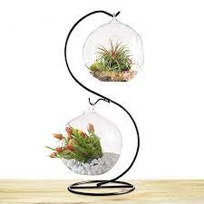 Sungrow 2 Glass Plant Terrarium Globes With Metal Stand Https Www Amazon Com Dp B079nc8g3t Ref Cm Sw R Pi Plant Stand Terrarium Hanging Glass Terrarium